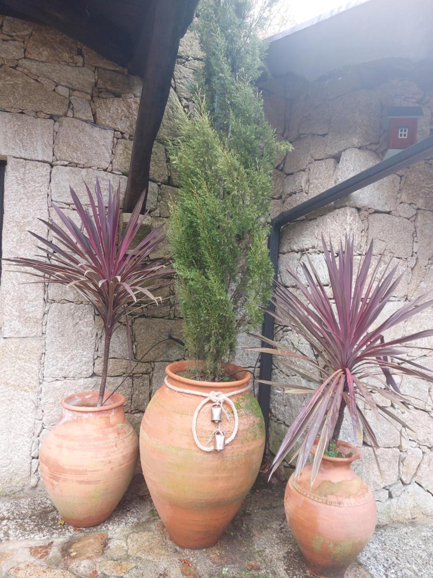 Quinta Do Caneiro Geres Buitenkant foto